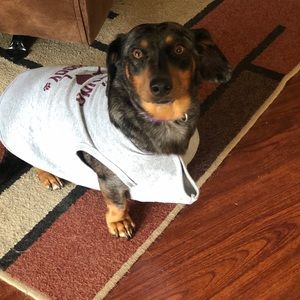 Meet your Posher, Katherine